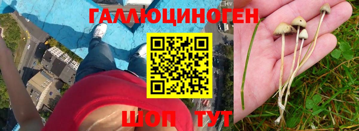 Галлюциногенные грибы ЛСД  Вход с VPN  Магадан 
